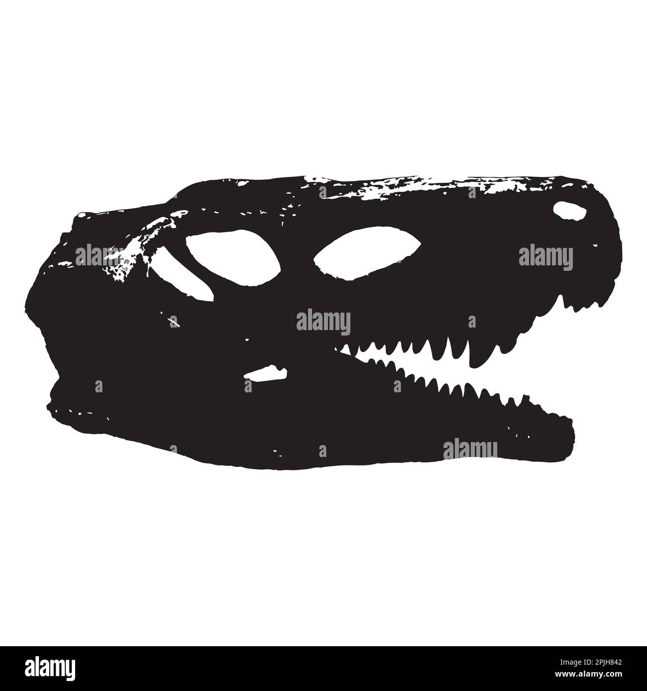 Vector dinosaur skeleton skull on white background paleontological Stock Vector