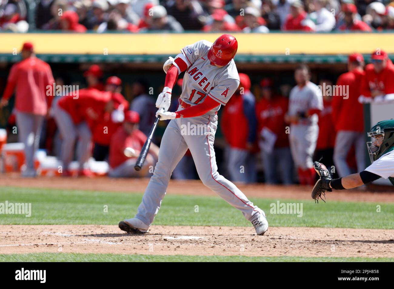 Los Angeles Angels designated hitter Shohei Ohtani (17) hits a home run ...