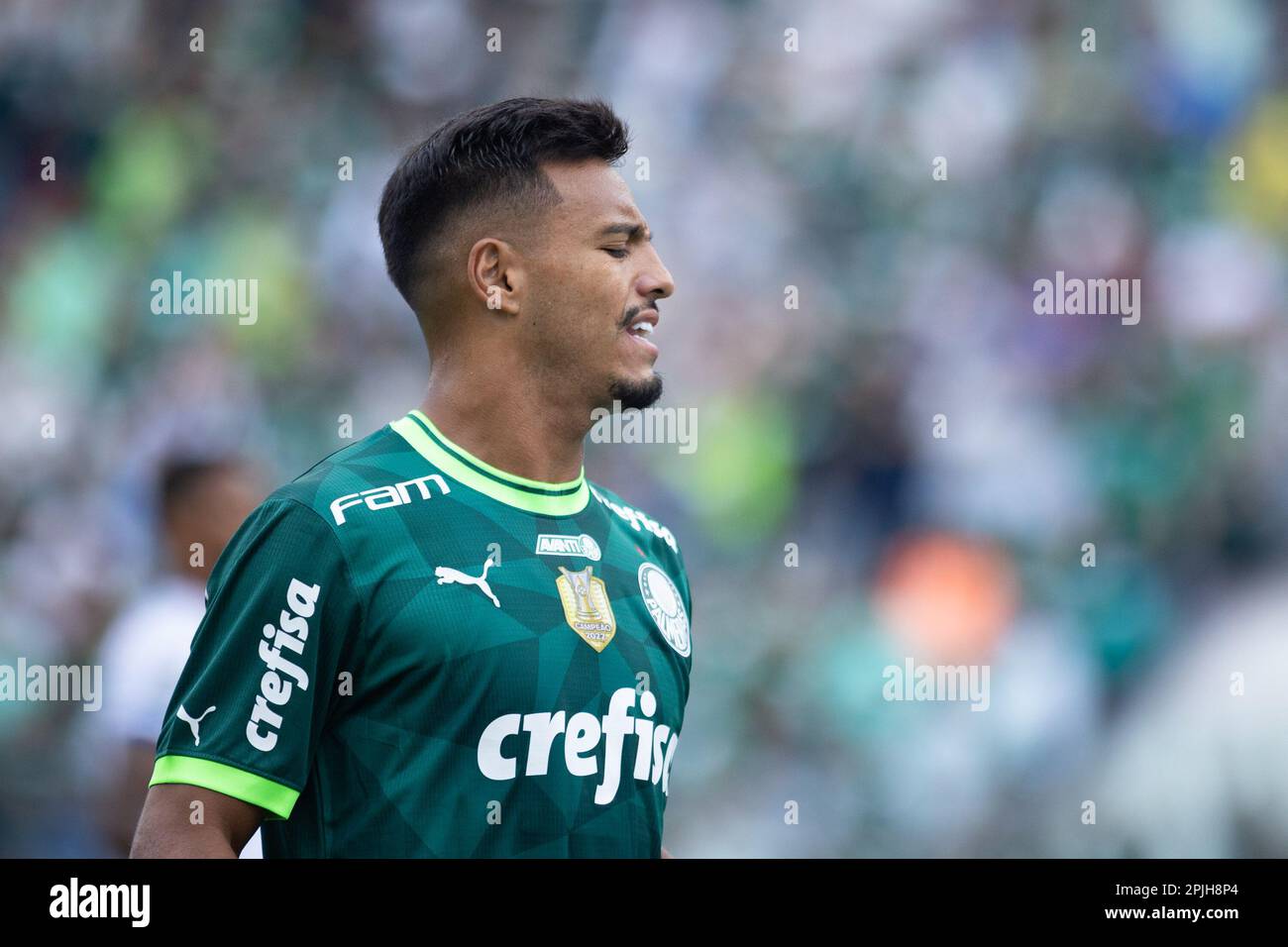 Mauricio Isla Flamengo Gabriel Menino Palmeiras Editorial Stock Photo -  Stock Image