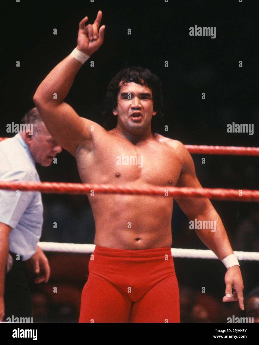 1987 Ricky Steamboat Photo by John Barrett/PHOTOlink Stock Photo - Alamy