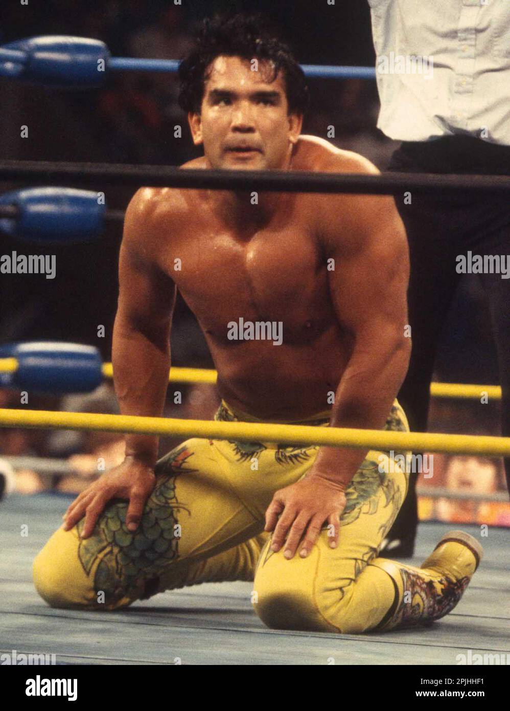 1993 Ricky Steamboat Photo by John Barrett/PHOTOlink Stock Photo Alamy