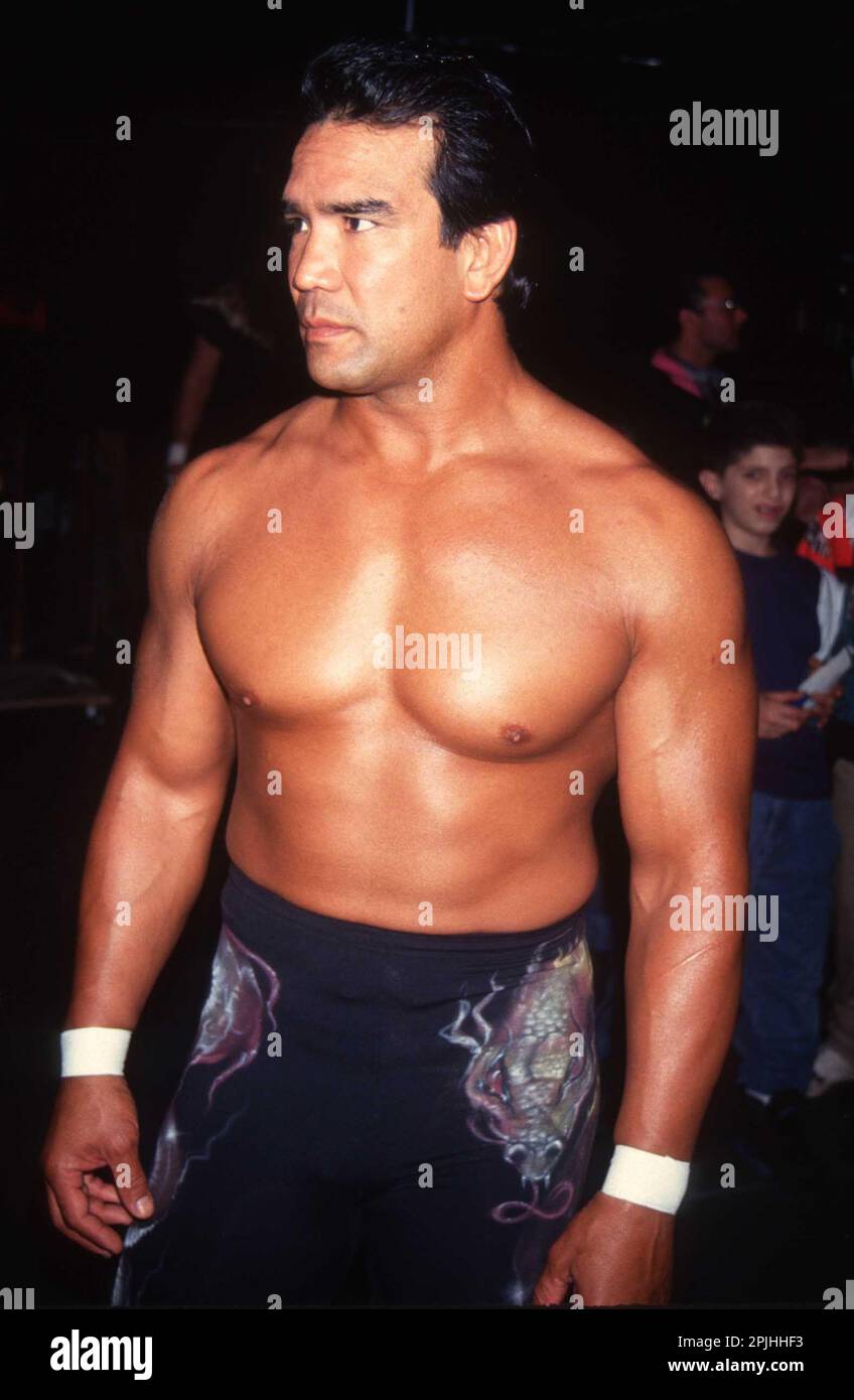 1986 Ricky Steamboat Photo by John Barrett/PHOTOlink Stock Photo - Alamy
