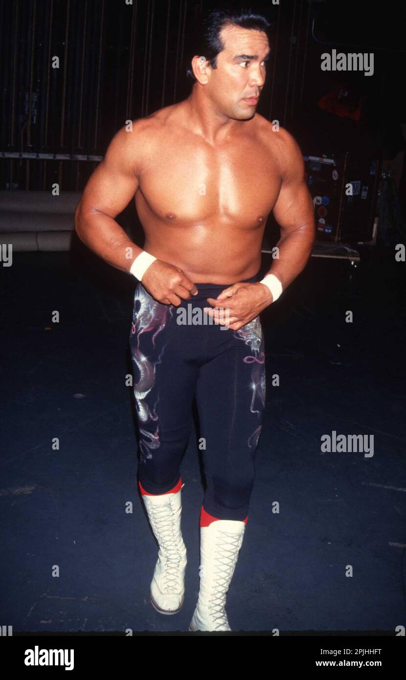 1986 Ricky Steamboat Photo by John Barrett/PHOTOlink Stock Photo - Alamy