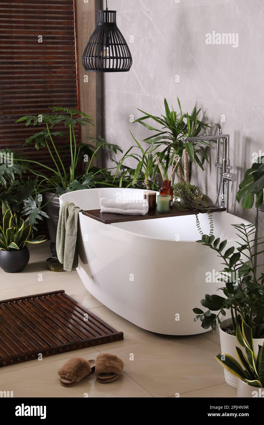 Modern white tub and beautiful green houseplants in bathroom. Interior ...