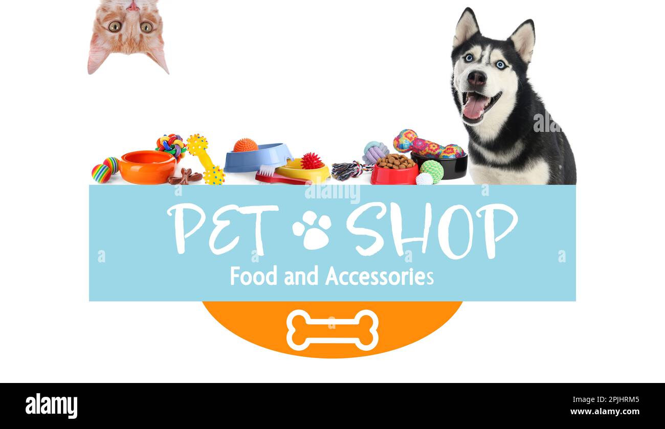 22,923 Pet Supplies Images, Stock Photos, 3D objects, & Vectors