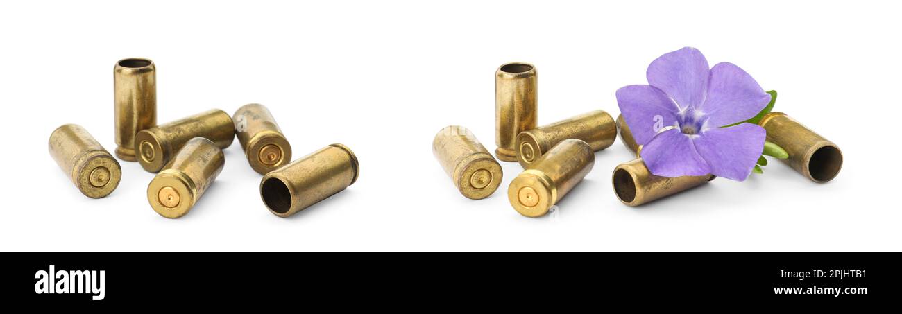 Set of bullet shells and beautiful flower on white background. Banner