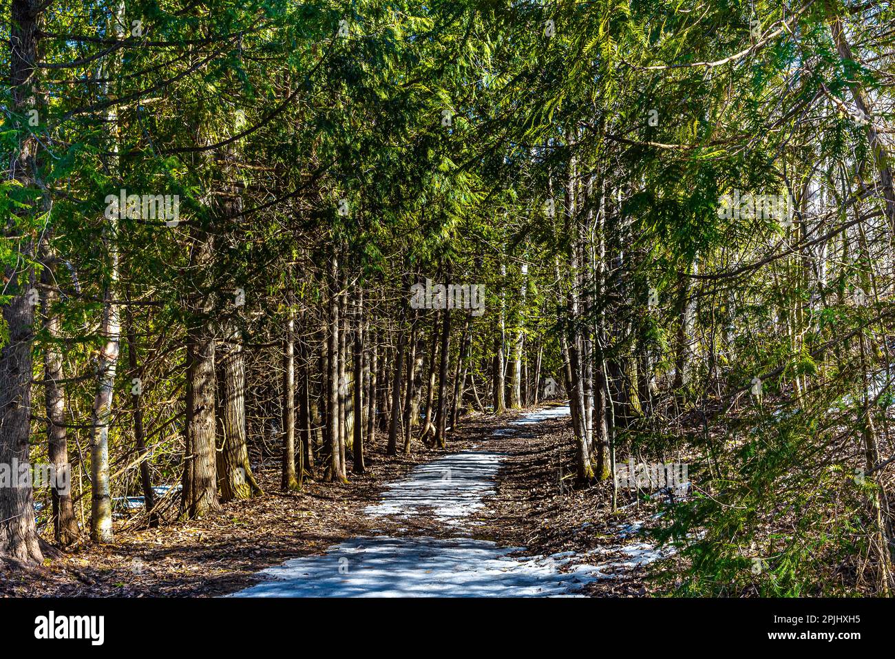 Four northern eco zones hi-res stock photography and images - Alamy