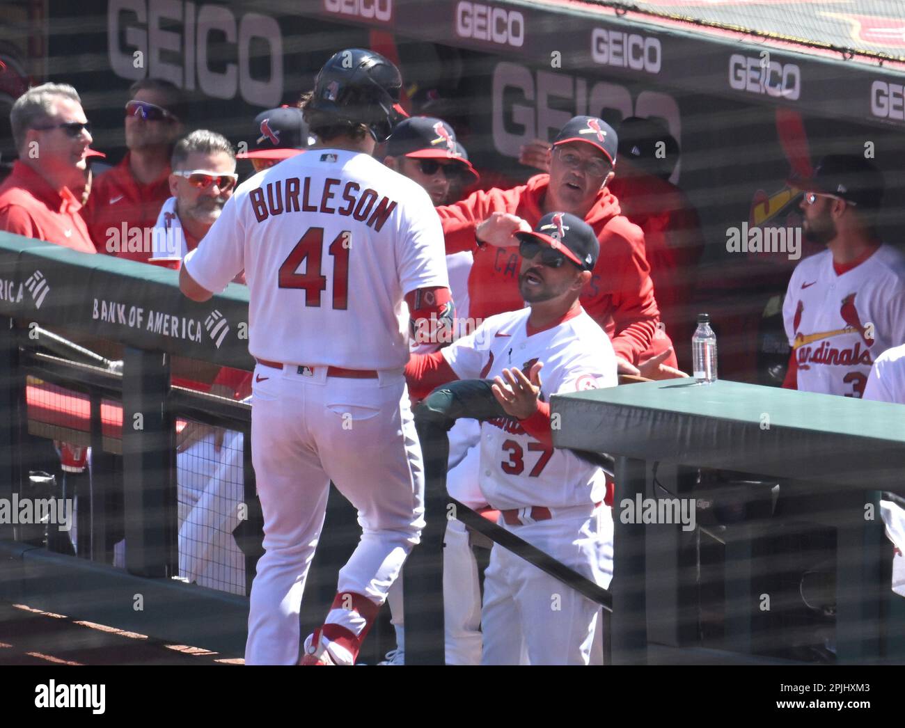 St. Louis Cardinals - With the BankofAmerica Mobile Banking app