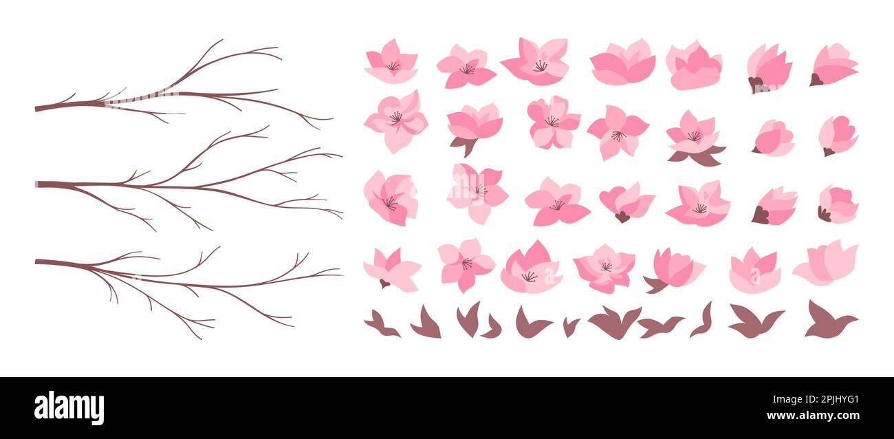 Cherry blossom blooming branches sakura collection. Asian set for ...
