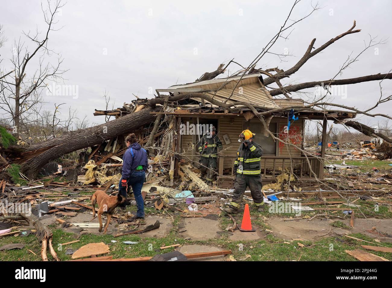 SULLIVAN, INDIANA - APRIL 1: Firefighters and a K9 searcher look help with search and rescue operations after a tornado on April 1, 2023 in Sullivan, Indiana. Three people were declared dead, and 8 others were injured, as the search and rescue operation continued Saturday afternoon. The severe storm that created the tornado struck Friday, March 31, 2023 and damaged about 150 homes and structures in Sullivan. (Photo by Jeremy Hogan/The Bloomingtonian) Stock Photo