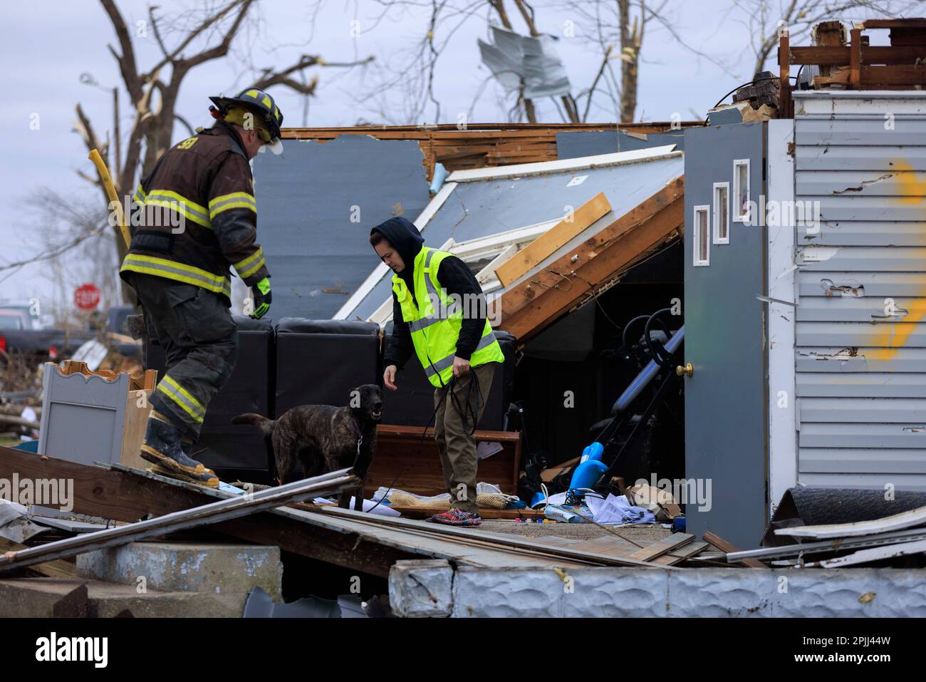 SULLIVAN, INDIANA - APRIL 1: A firefighter and a K9 searcher help with search and rescue operations after a tornado on April 1, 2023 in Sullivan, Indiana. Three people were declared dead, and 8 others were injured, as the search and rescue operation continued Saturday afternoon. The severe storm that created the tornado struck Friday, March 31, 2023 and damaged about 150 homes and structures in Sullivan. (Photo by Jeremy Hogan/The Bloomingtonian) Stock Photo