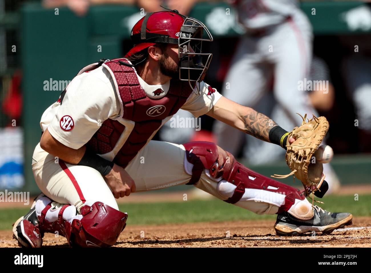 April 2, 2023: Razorback catcher Parker Rowland #44 receives a ball behind the plate. Arkansas defeated Alabama 5-4 in Fayetteville, AR, Richey Miller/CSM Stock Photo