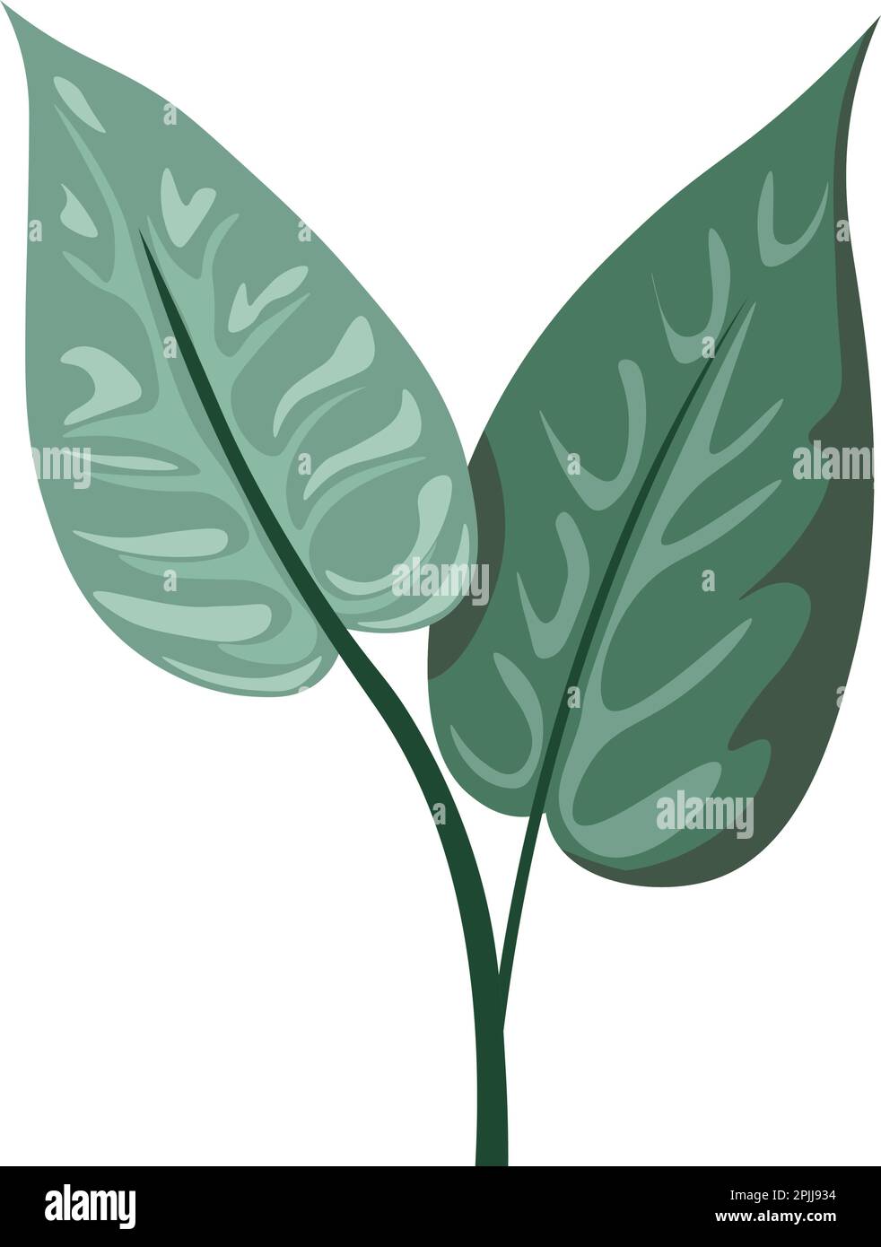 Tropical and exotic houseplants and flowers design Stock Vector Image