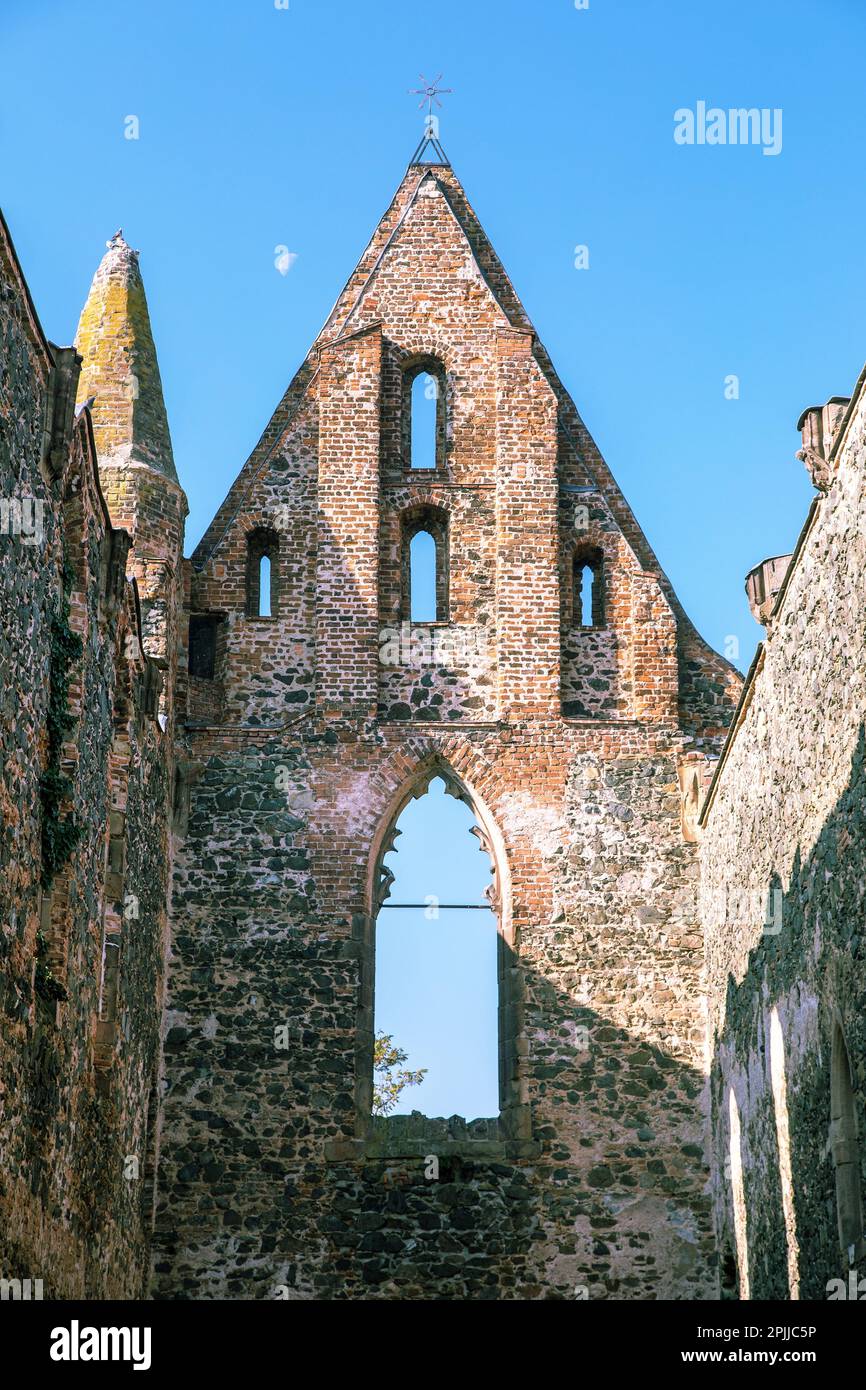 Rosa coeli, ruins of church and monastery, Dolni Kounice near Ivancice town, South Moravia, Czech Republic Stock Photo
