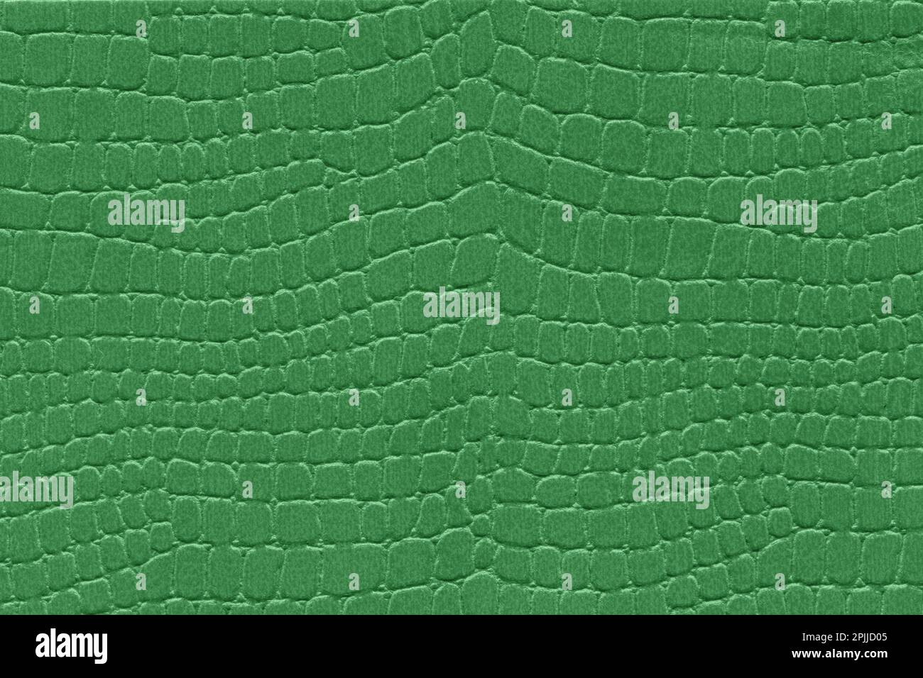 Green reptile skin. crocodile leather texture background Stock Photo ...