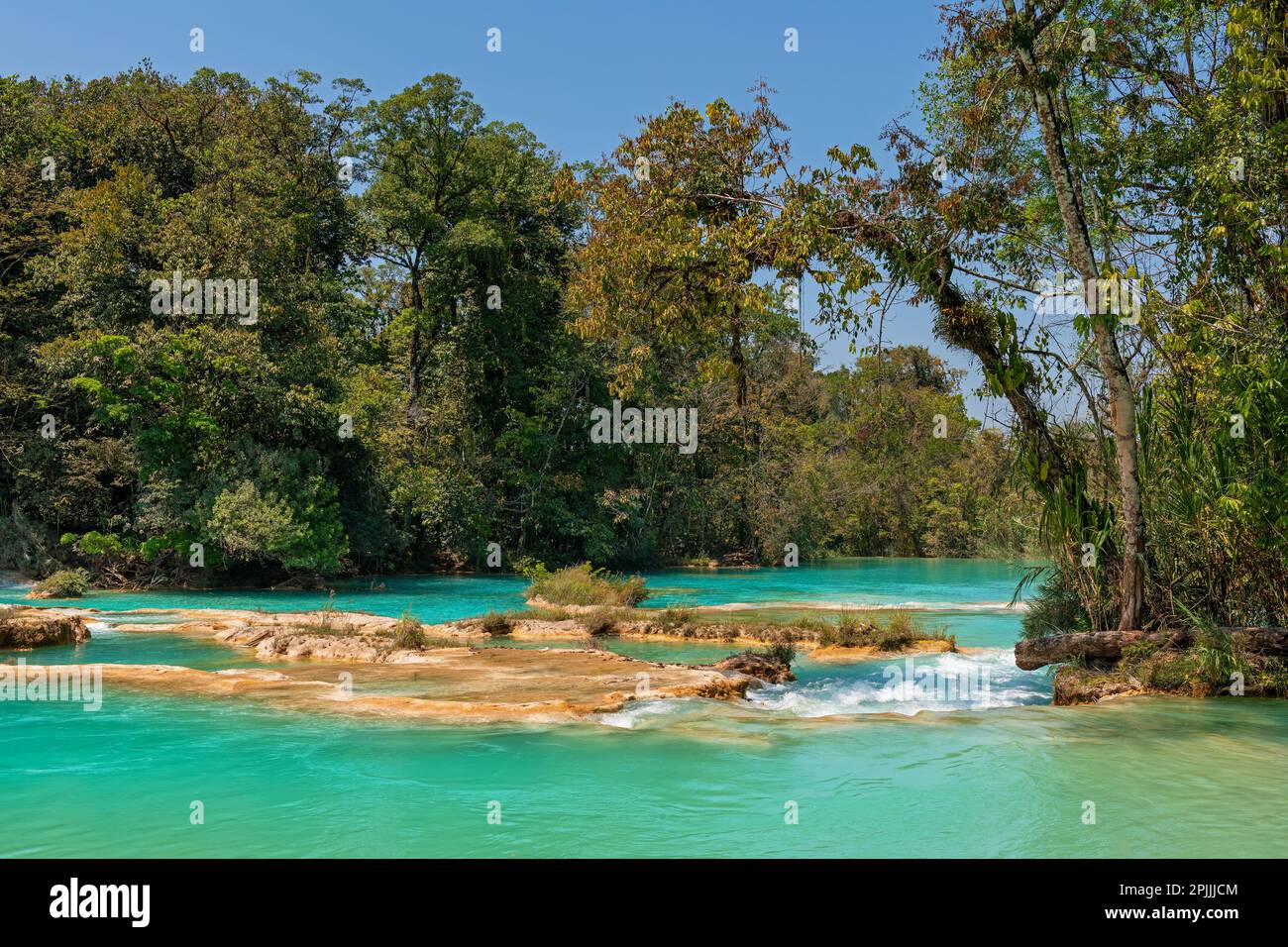 Agua Azul cascades waterfalls midst tropical rainforest, Chiapas, Mexico. Stock Photo