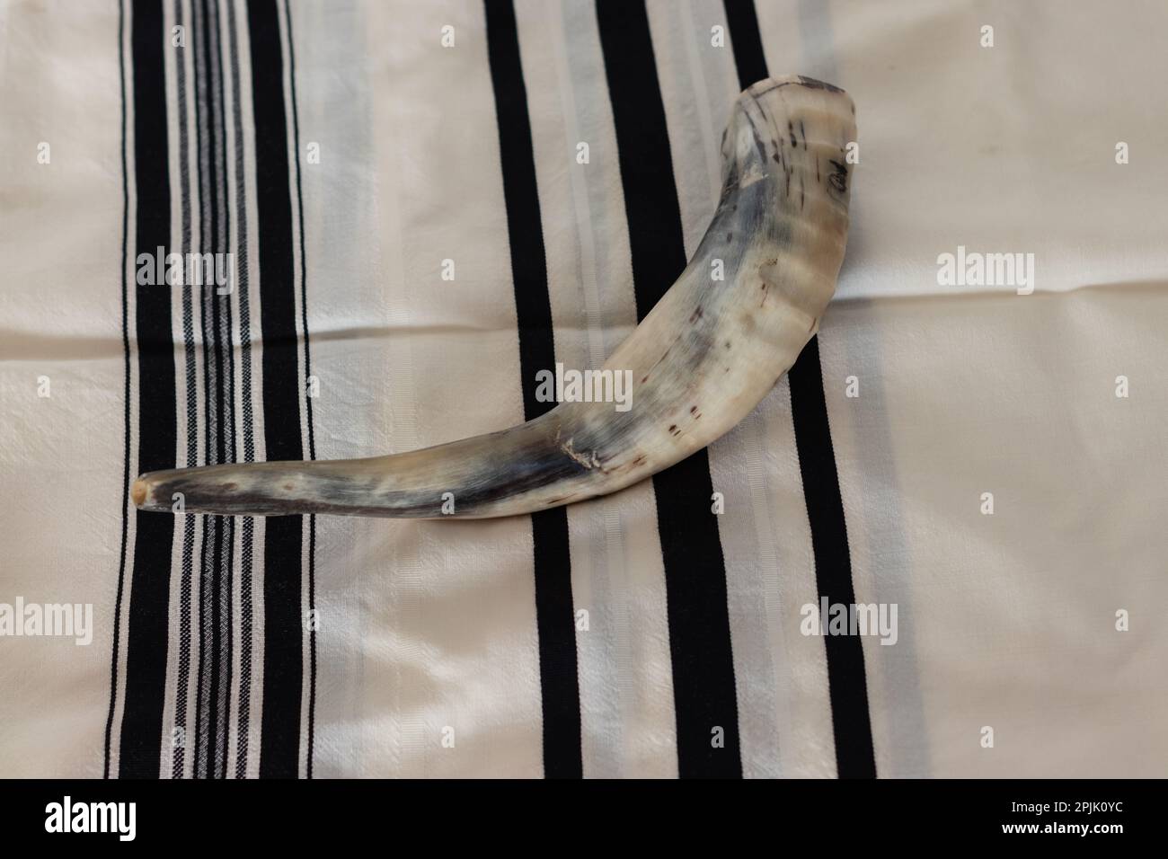 shofar made from the horns of a lamb on a background of talit Stock