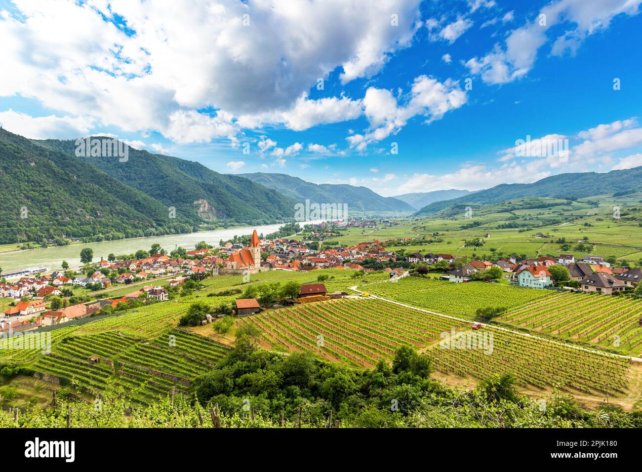 Scenic spring view to Wachau valley with the river Danube and town Weissenkirchen. Austria. Stock Photo