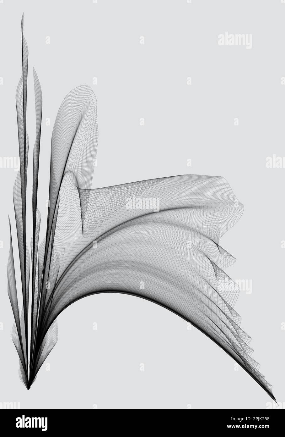 abstract illustration with wavy lines on a white background Stock Photo ...