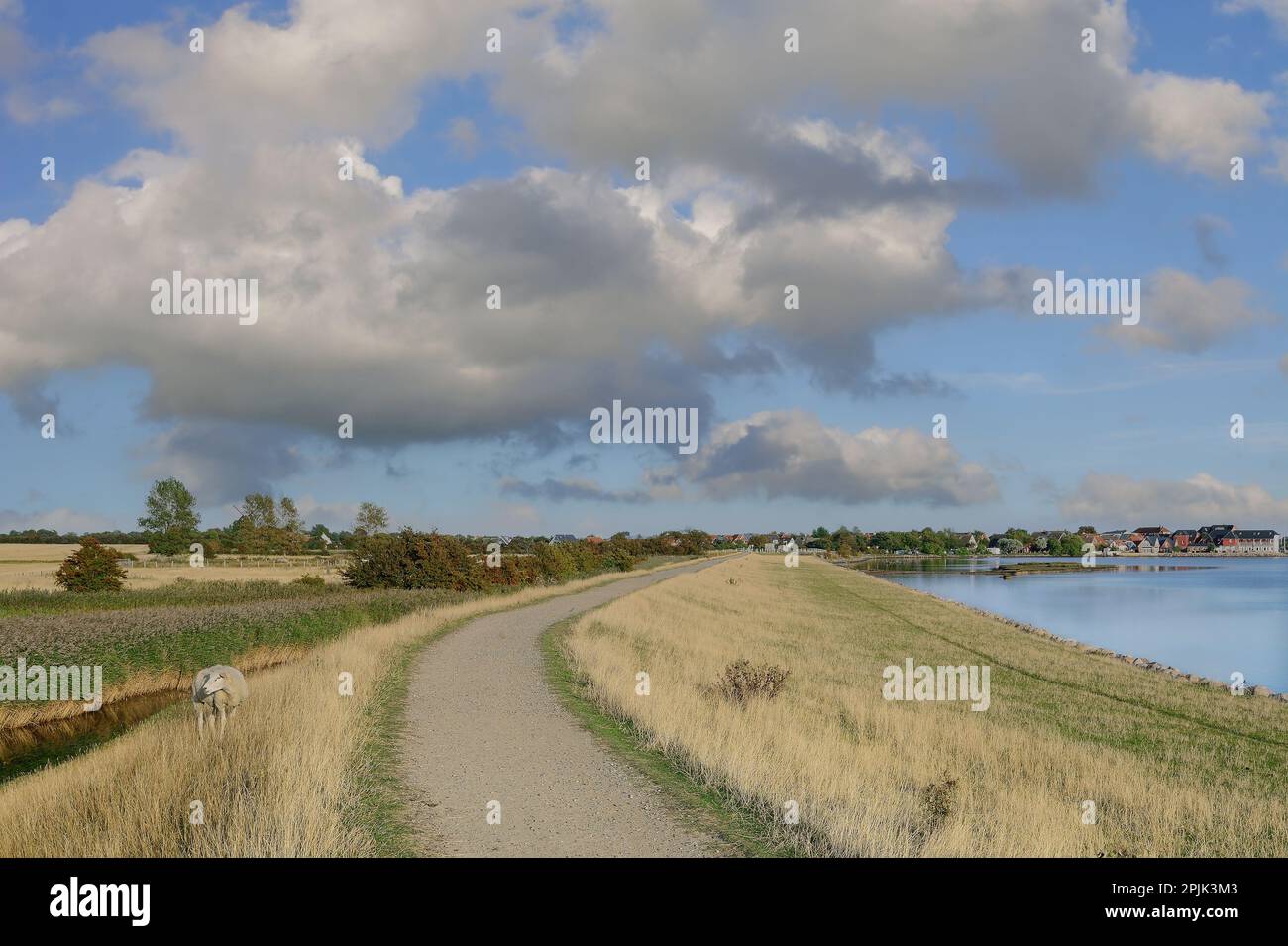 Lemkenhafen,Fehmarn,baltic Sea,Schleswig-Holstein,Germany Stock Photo