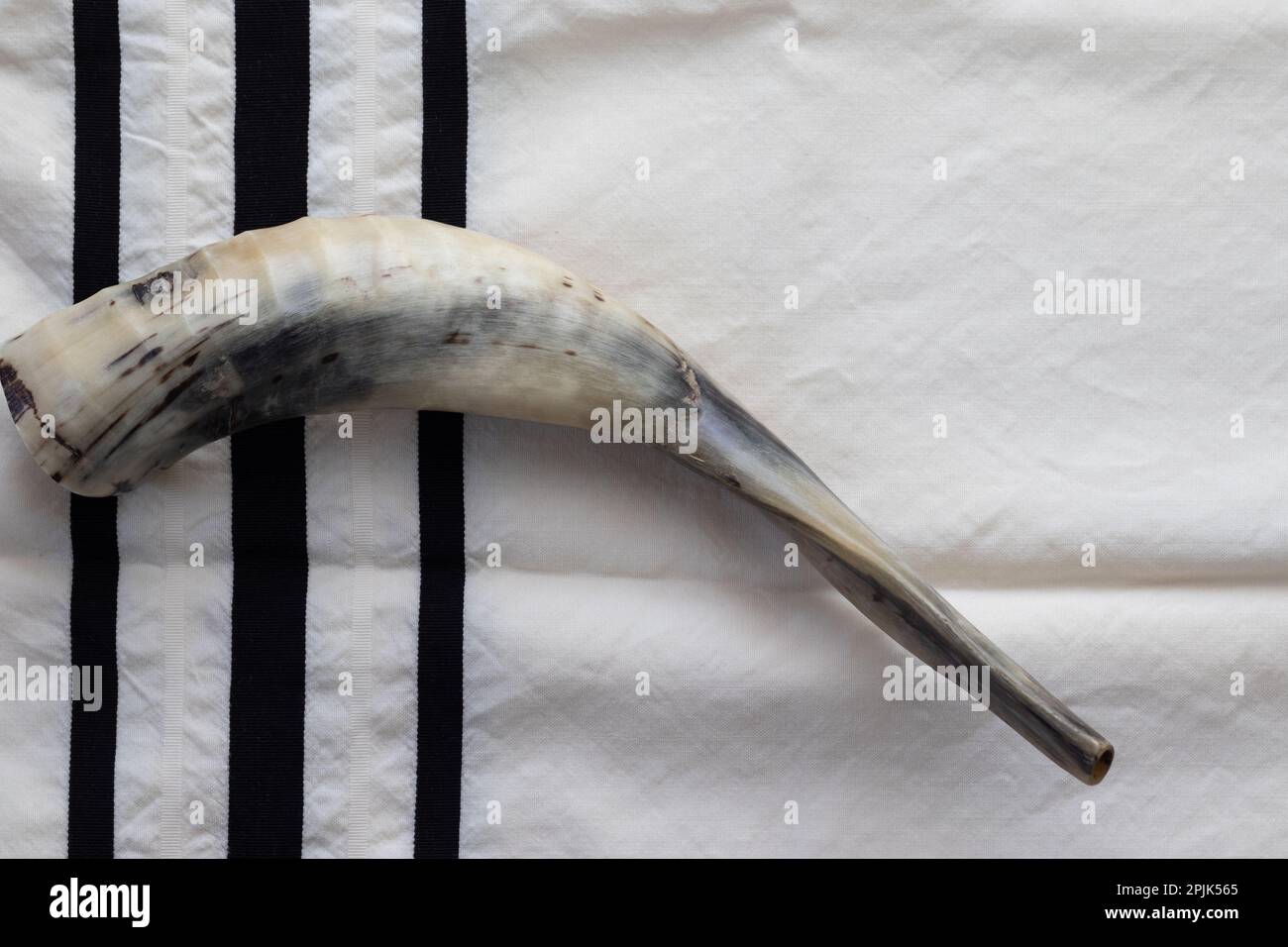 07072022. jerusalemisrael. A shofar made from a lamb's horn placed
