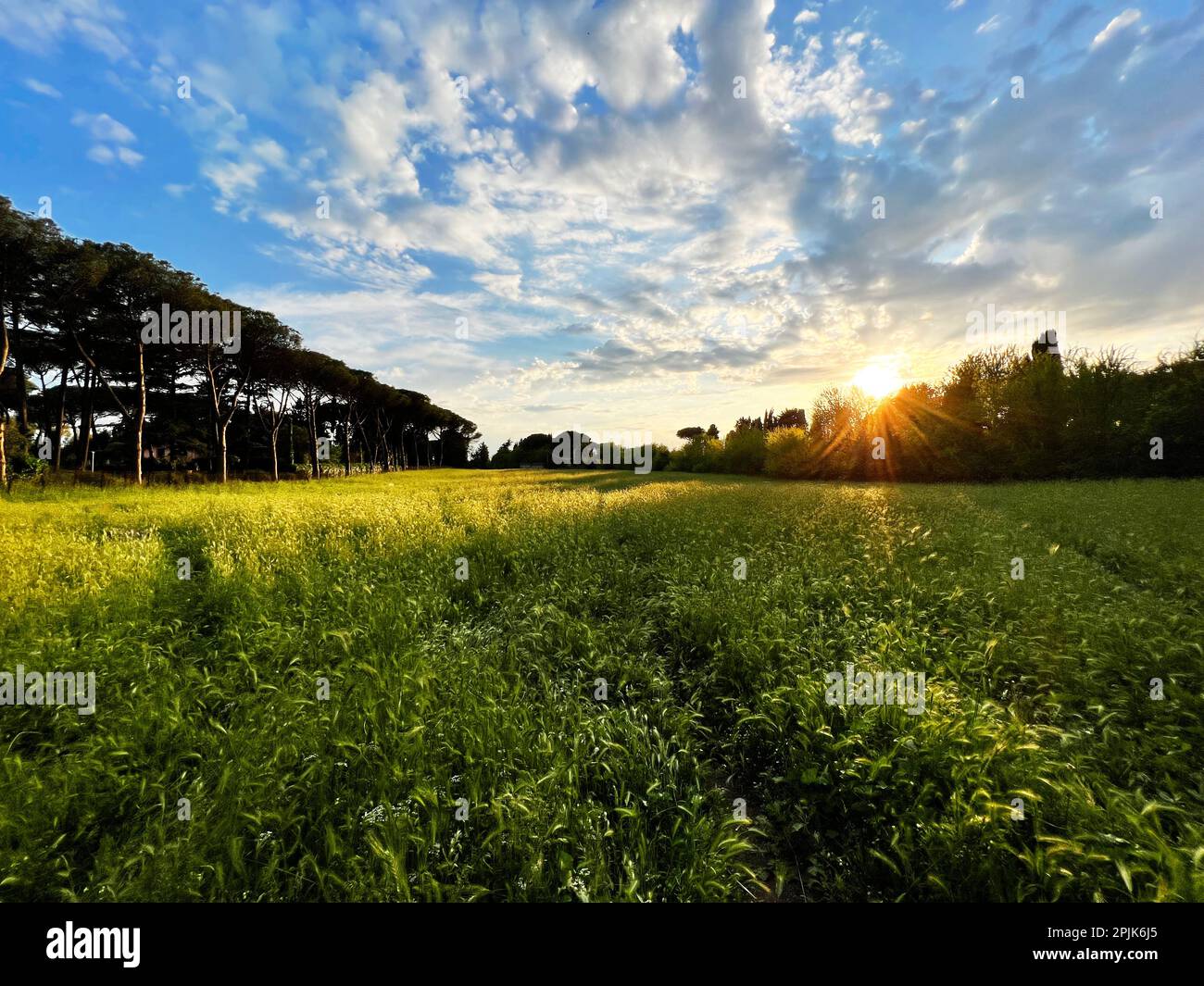 Cloudy sunset green meadow hi-res stock photography and images - Alamy