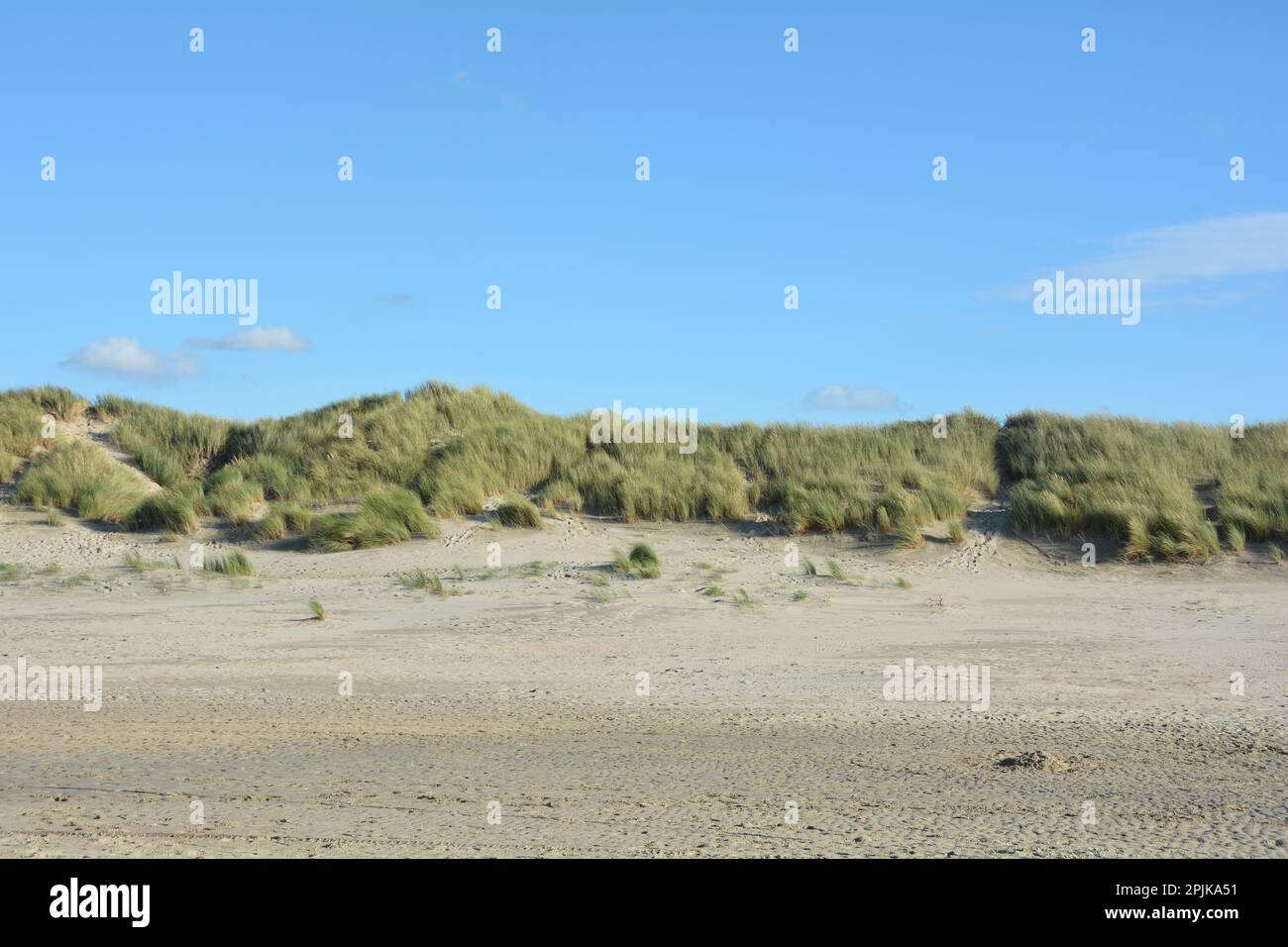 Sand dunes on a beach with marram grass Stock Photo