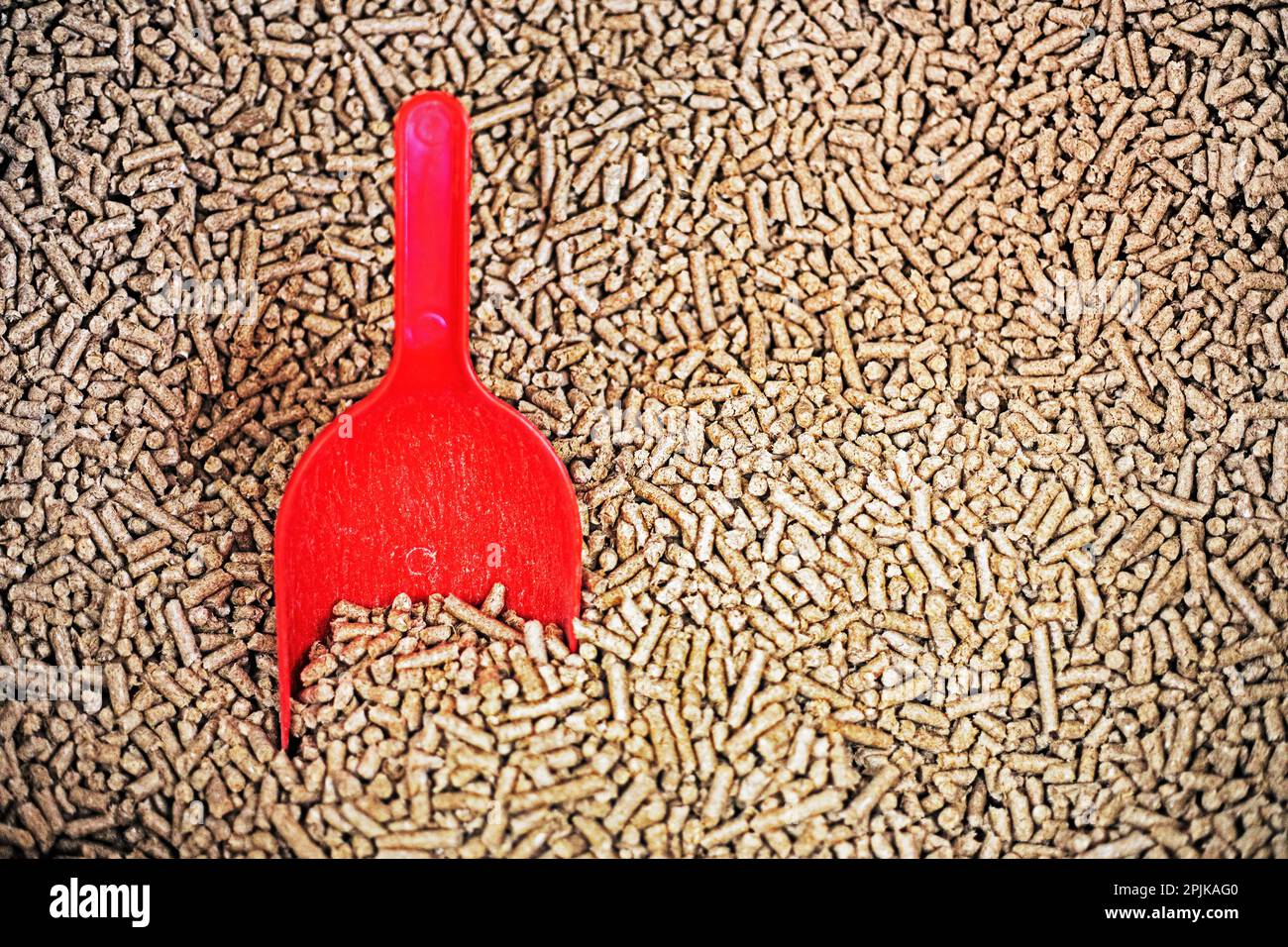 closeup background of cat litter with red shovel for cleaning, pet
