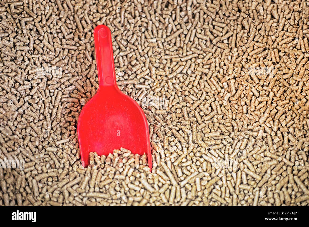 closeup background of cat litter with red shovel for cleaning, pet