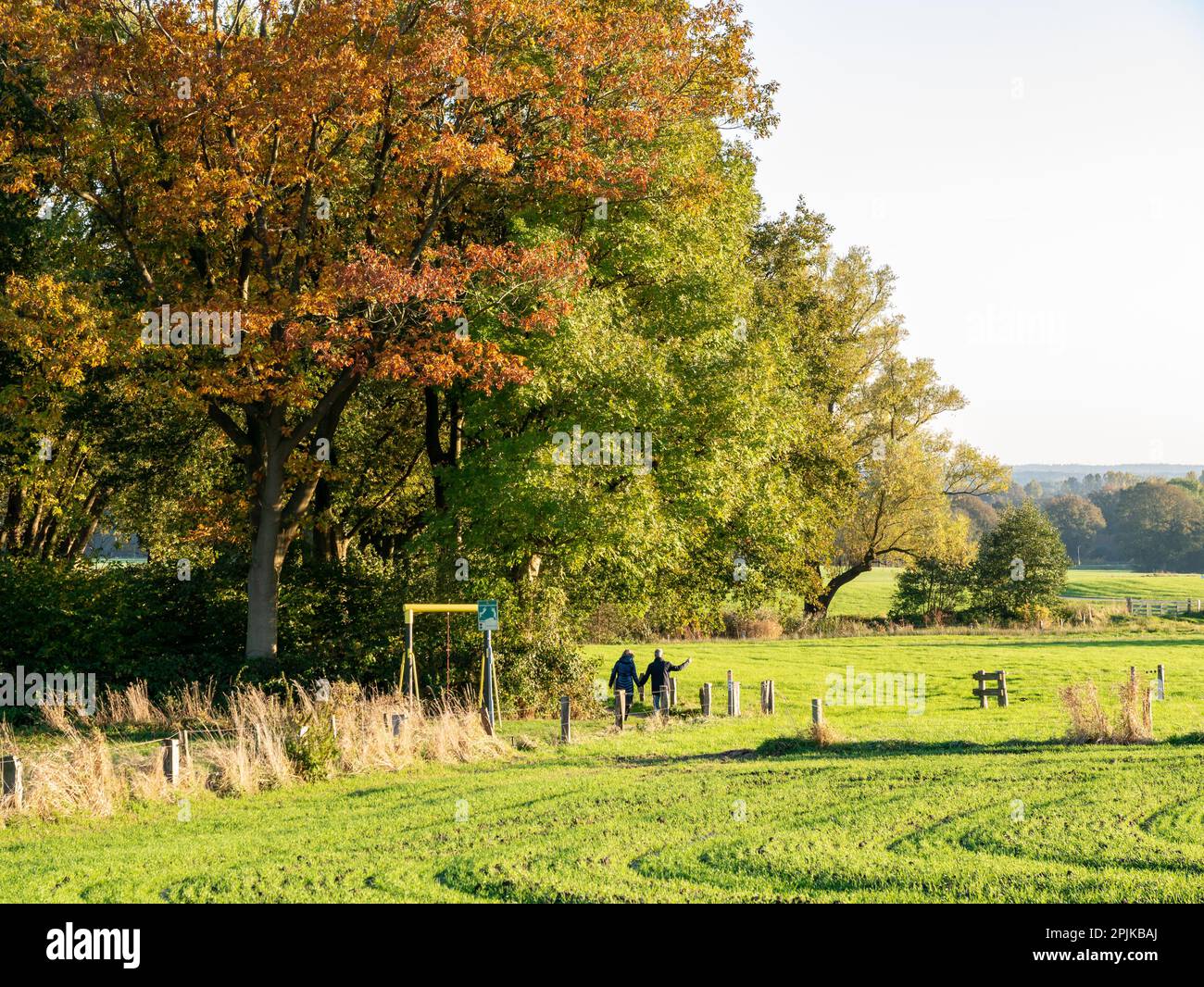 Older couple walking on footpath through nature near town of Ootmarsum, Overijssel, Netherlands Stock Photo