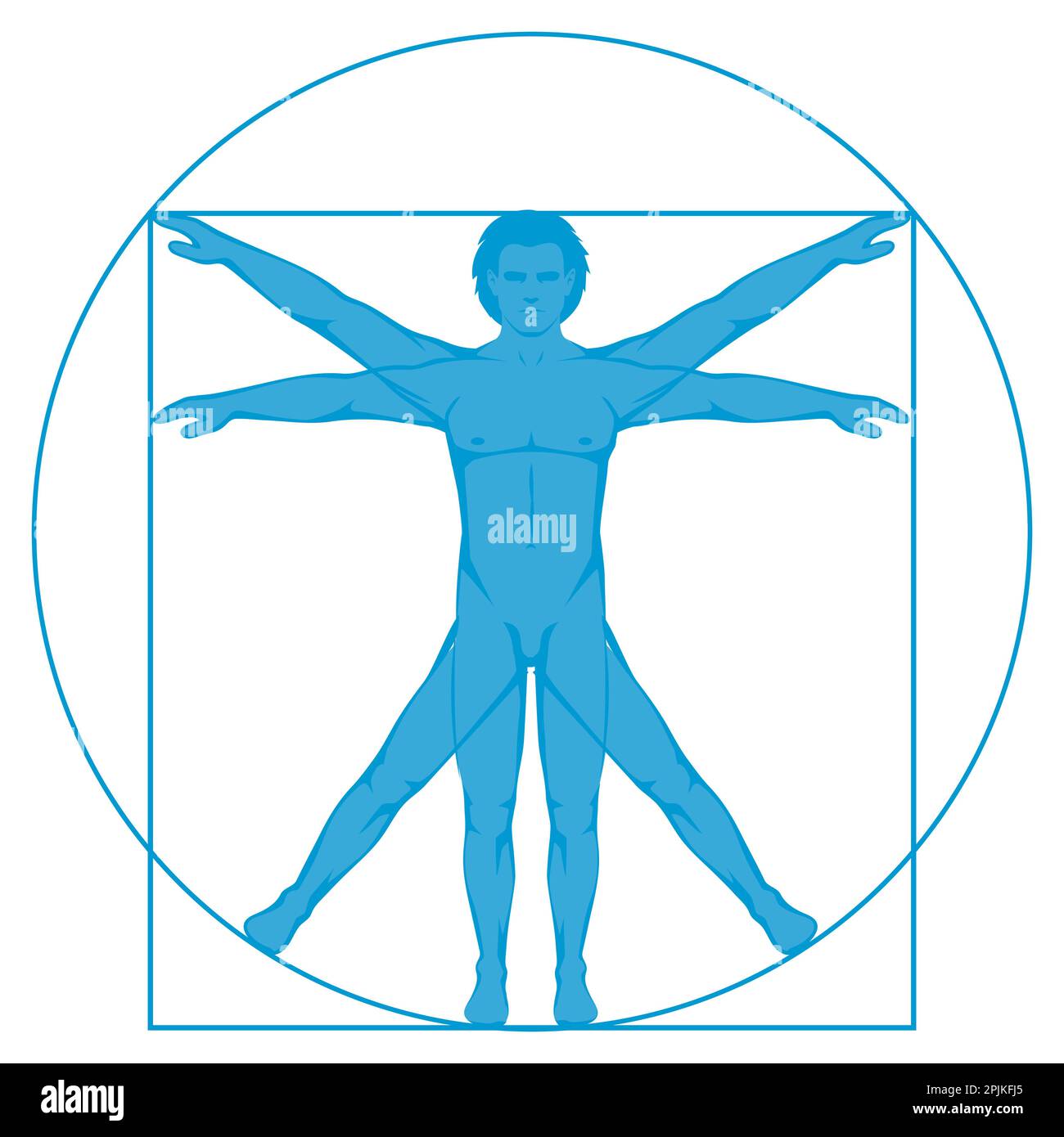 Vinci, icon Vetruvian Man, vector human body anatomy Stock Vector