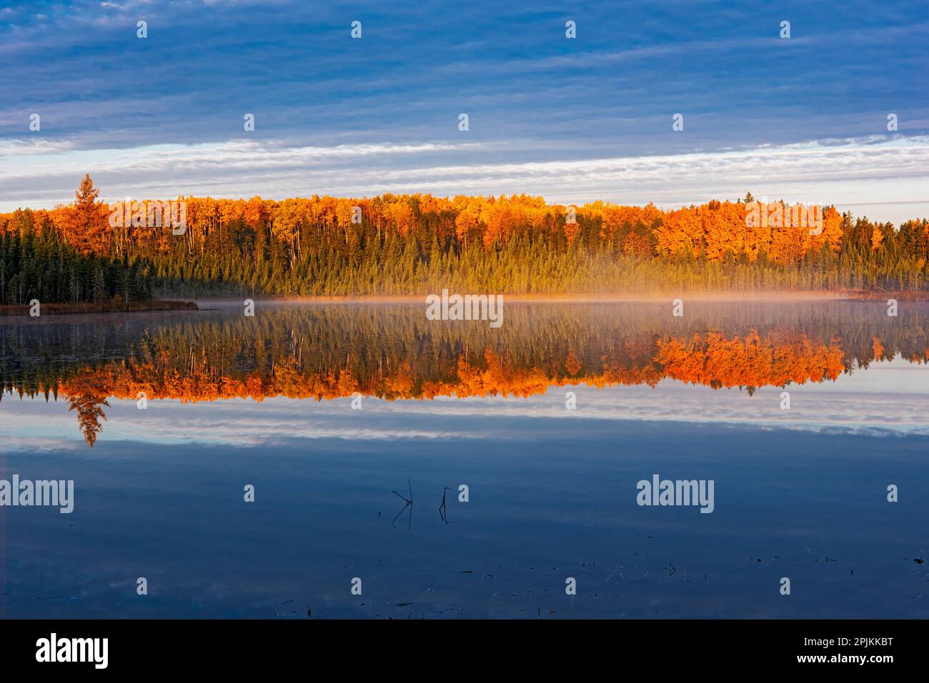 Canada, Manitoba, Duck Mountain Provincial Park. Morning fog on lake in autumn. Stock Photo