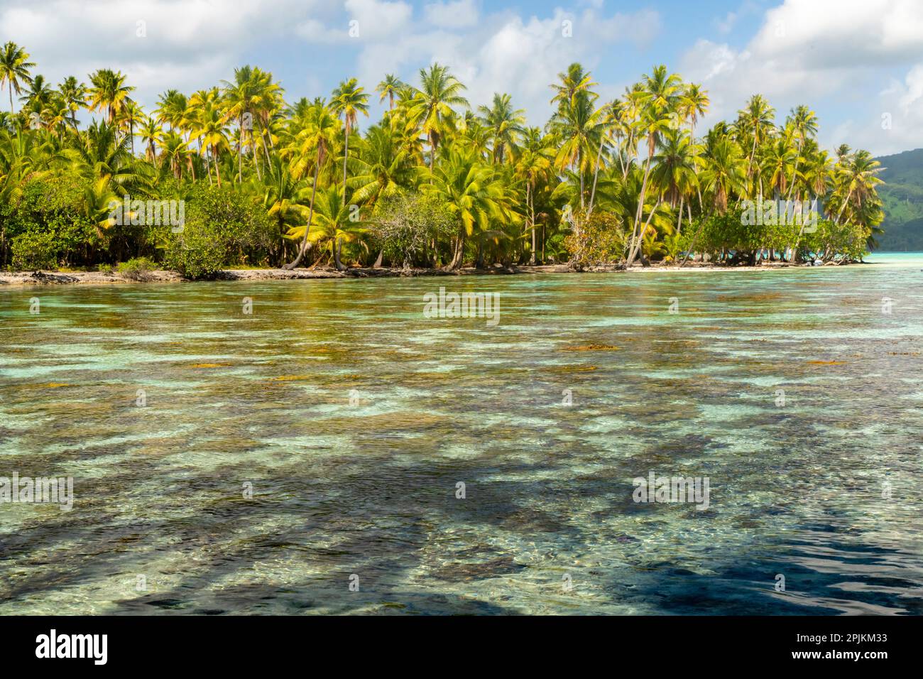 French Polynesia, Taha'a. Ocean corals and tropical forest. Stock Photo