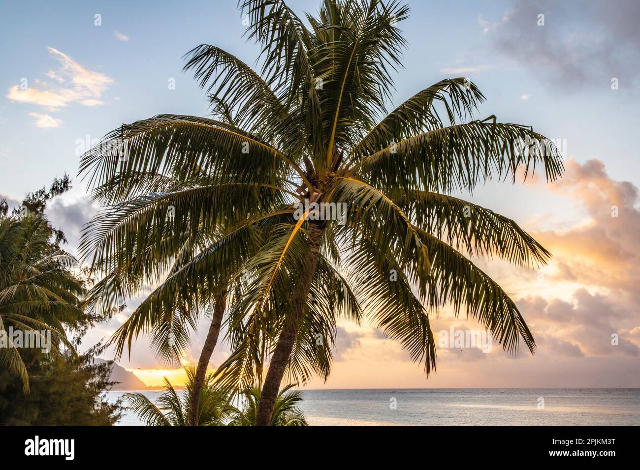 French Polynesia, Moorea. Sunset on island and ocean. Stock Photo