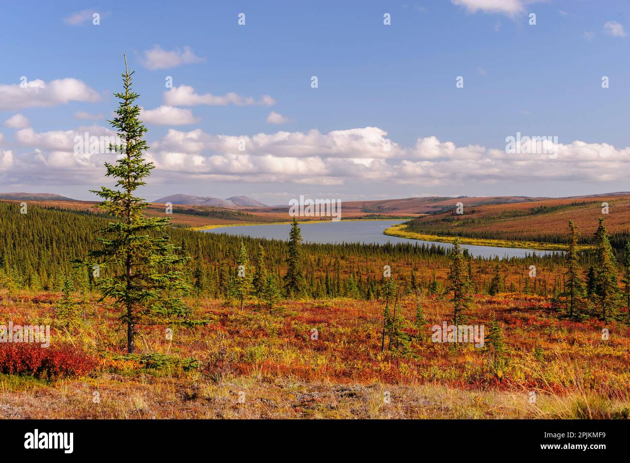 USA, Alaska, Kotzebue, Noatak River. Autumn colors along the Noatak River. Stock Photo
