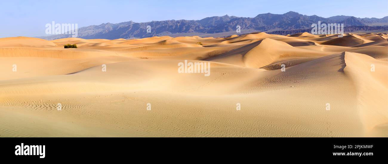 Death valley landscape hi-res stock photography and images - Alamy