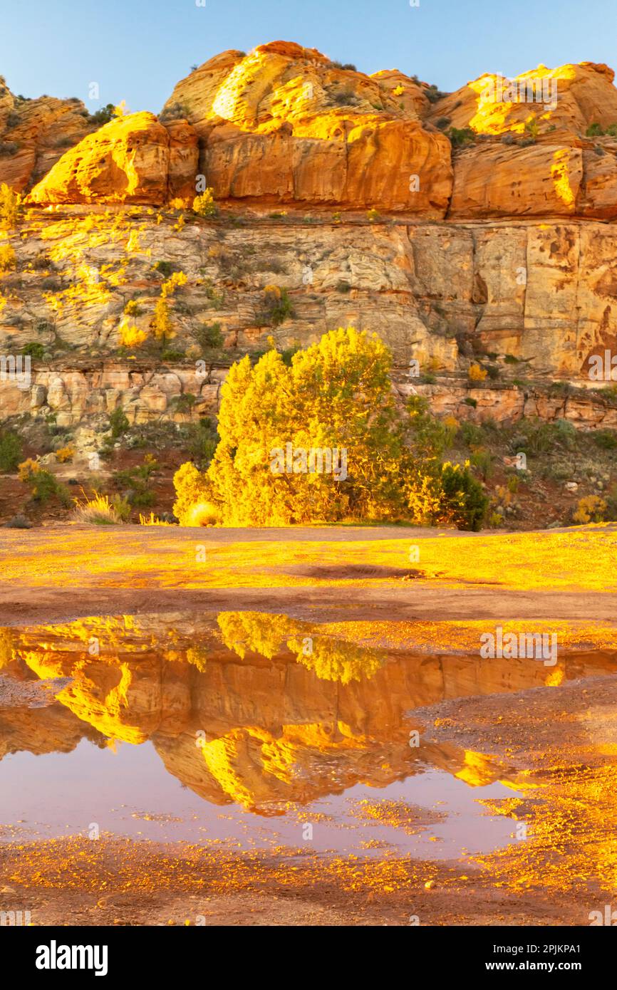 USA, Utah, Grand Staircase Escalante National Monument. Reflections in Escalante River Basin water. Stock Photo