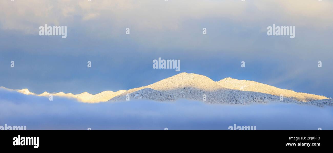 USA, Washington State. Sunrise panoramic of snow-covered mountains in Olympic National Forest. Stock Photo