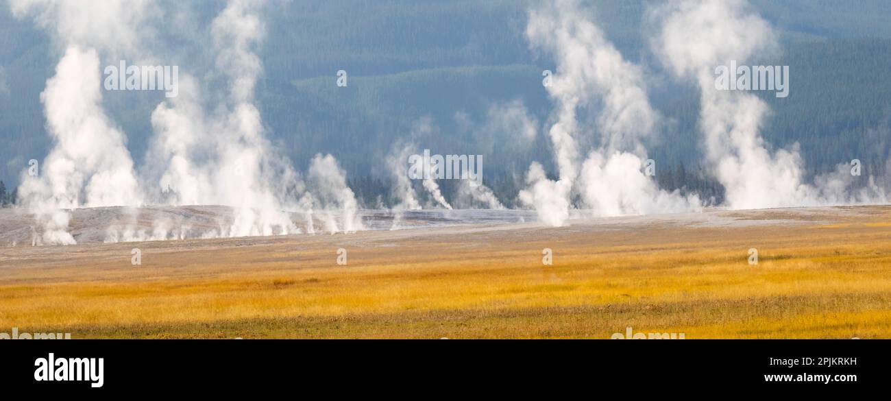 Wyoming, Yellowstone National Park. Thermal activity at Lower Geyser ...