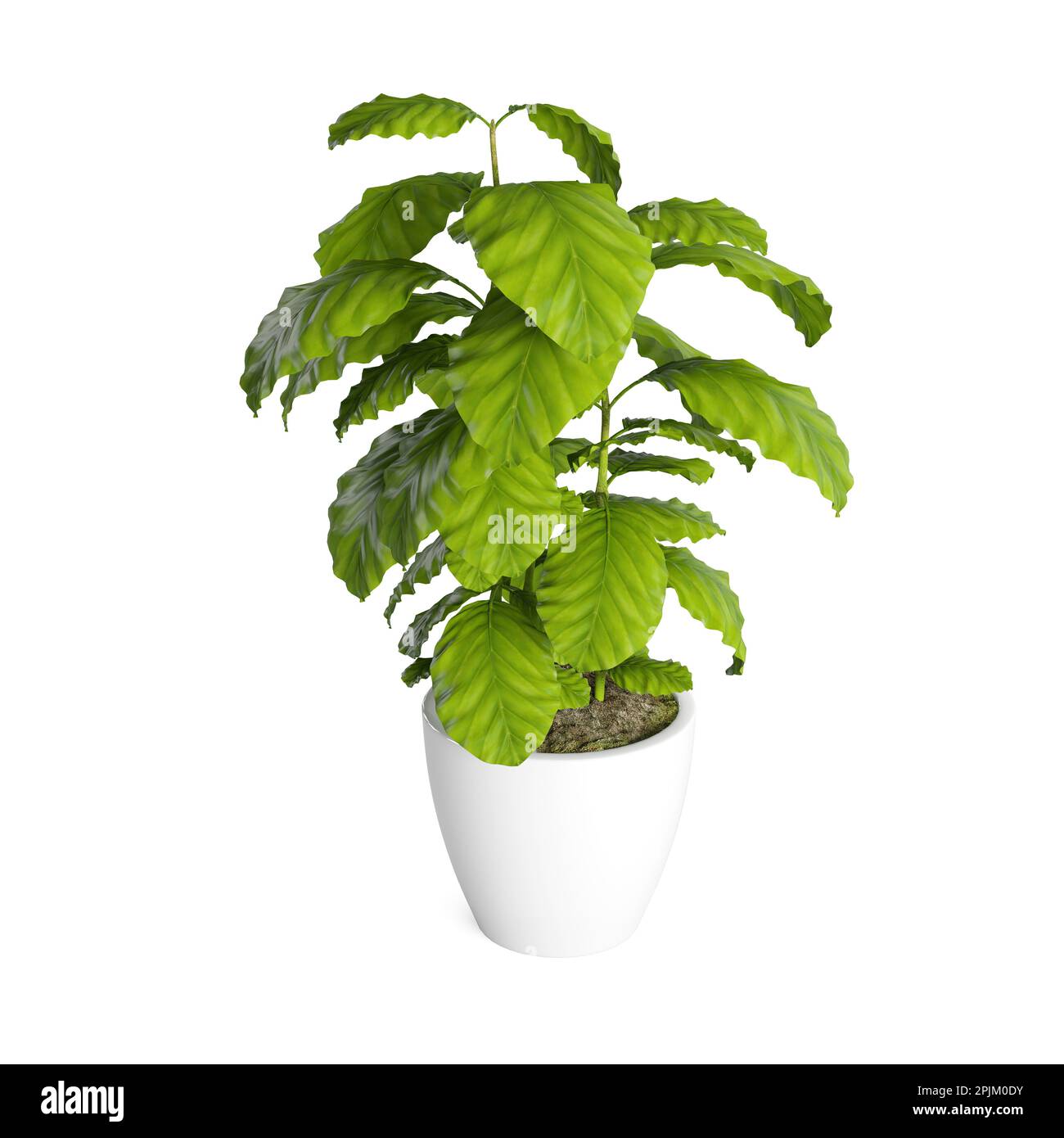A 3D rendering of a vibrant green plant in a white pot isolated on a