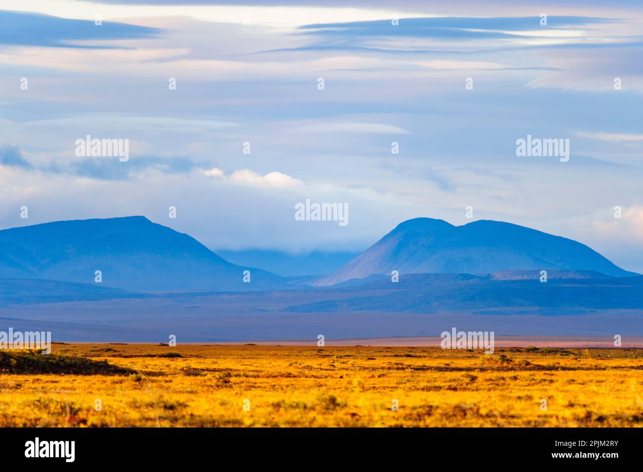 USA, Alaska, Noatak National Preserve, Noatak River. Distant mountains above the arctic tundra plains. Stock Photo