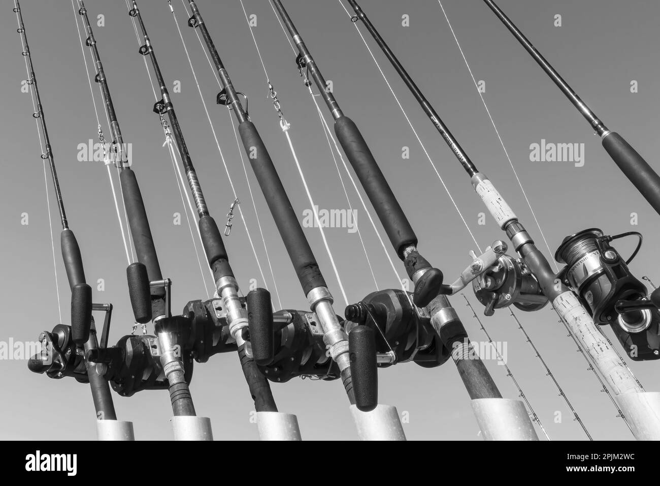 USA, Alaska, Homer. Group of fishing poles Stock Photo Alamy
