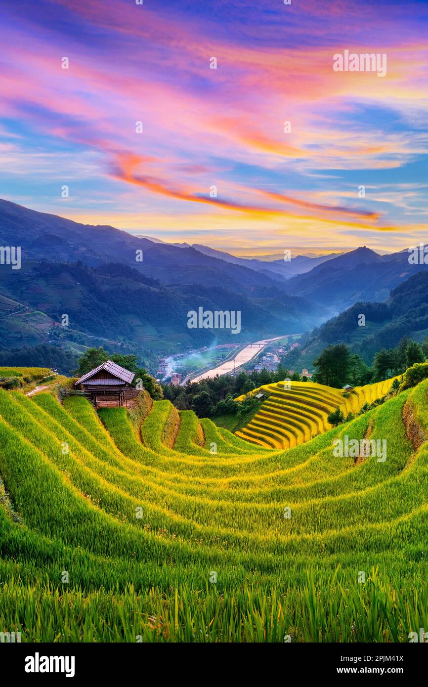 Beautiful Rice terraces at sunset in Mu cang chai, Vietnam Stock Photo ...