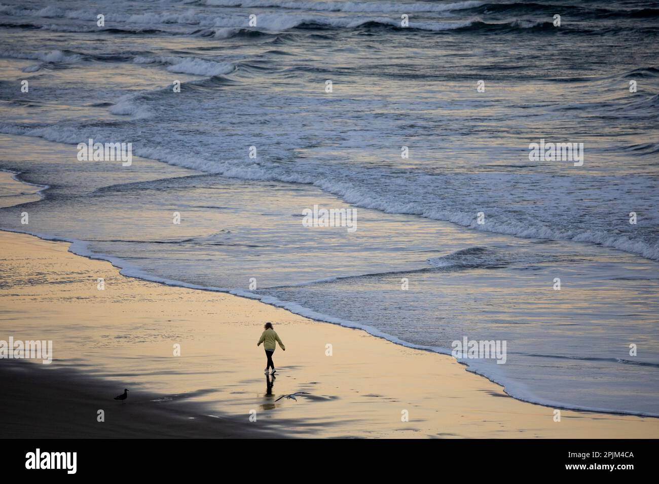 USA, Oregon. Cannon Beach lone female walking on the edge of incoming tide Stock Photo