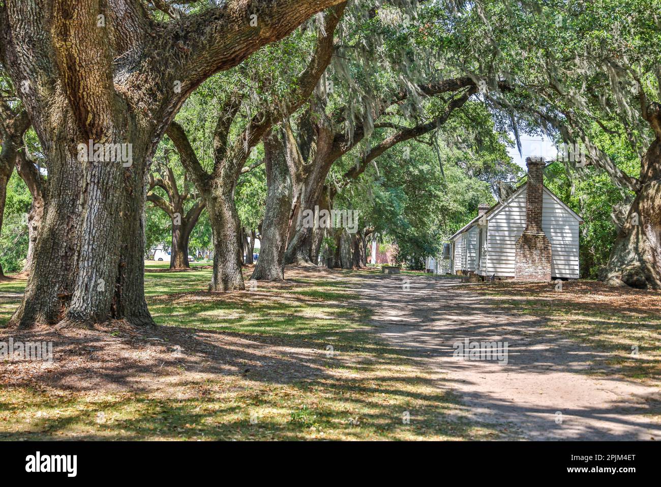 USA, South Carolina, Charleston. McLeod Plantation slave quarters Stock