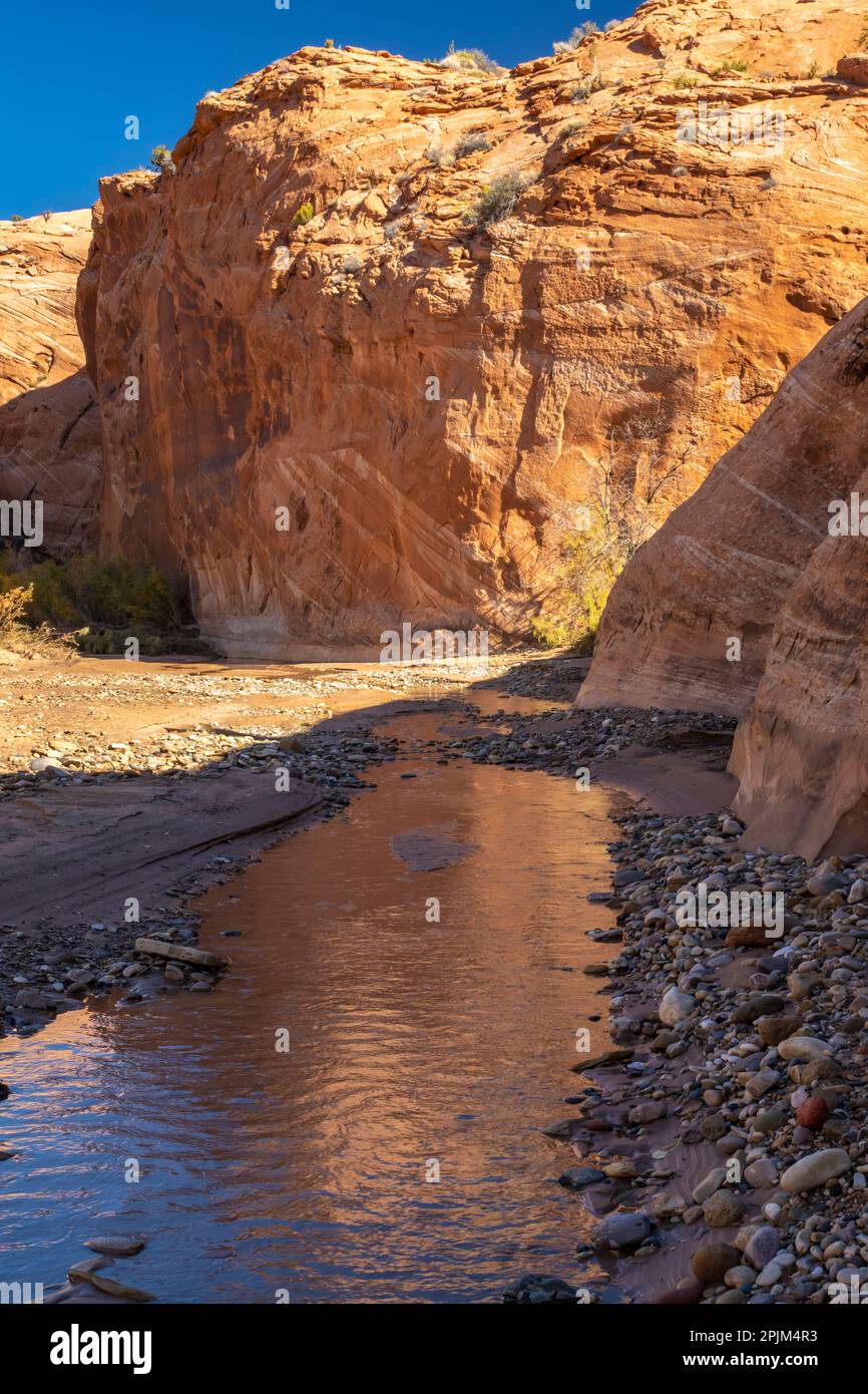 USA, Utah, Grand Staircase Escalante National Monument. Harris Wash and