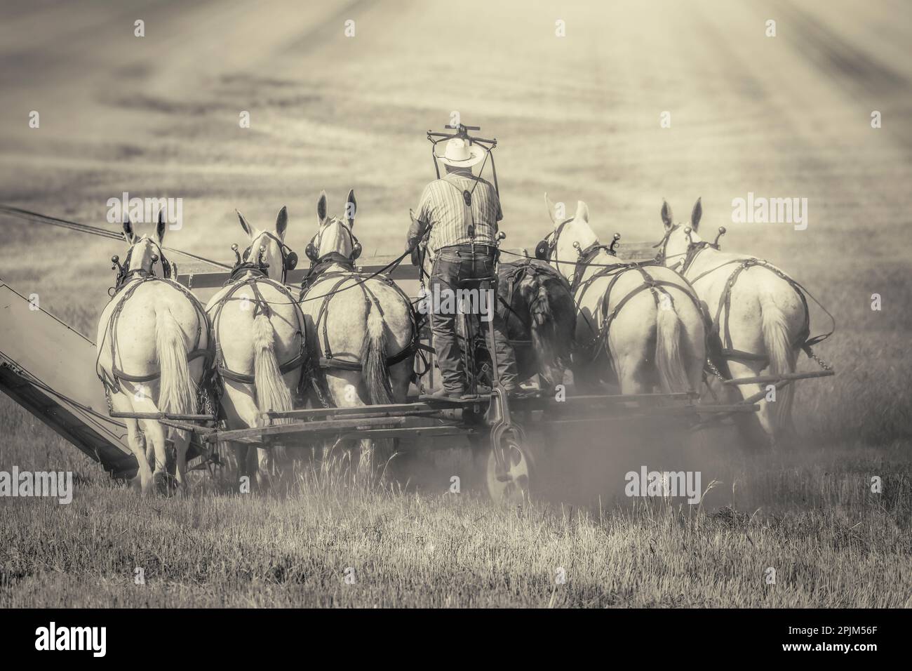 Old fashioned harvesting hi-res stock photography and images - Alamy
