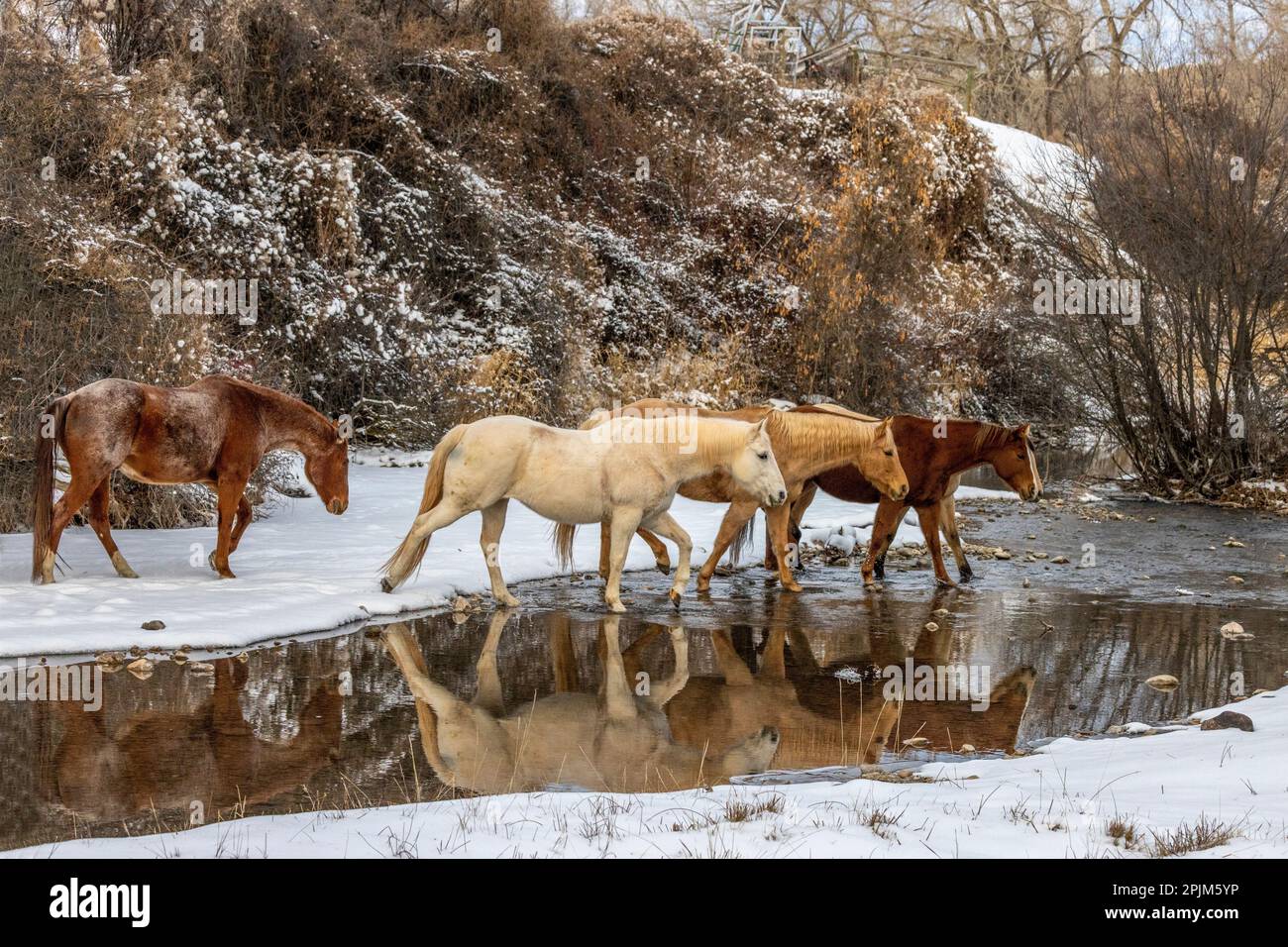 Brush creek wyoming hi-res stock photography and images - Alamy