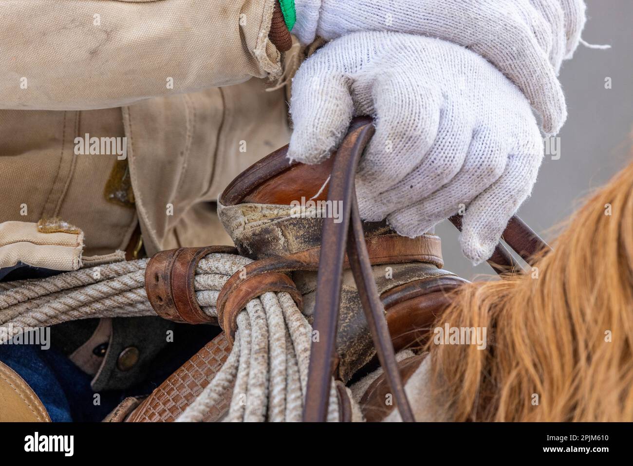 American west saddle horse hi-res stock photography and images - Alamy