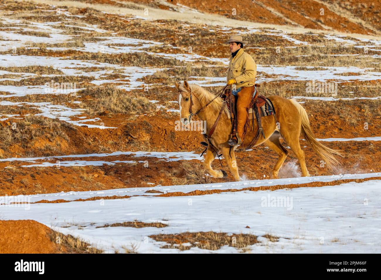 USA, Wyoming. Hideout Horse Ranch, wrangler on horseback in snow. (MR,PR) Stock Photo